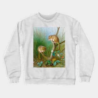 Dormice Archibald Thorburn Crewneck Sweatshirt